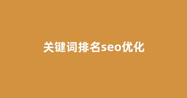 搜索引擎优化seo